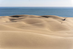 Désert et mer<br><br>Une des particularités de la Namibie se trouve du côté de Walvis Bay au sud de Swakopmund. C’est ici que le désert du Namib rejoint l’océan. Cela donne un point de vue exceptionnel qu’on peut découvrir par les airs ou comme moi lors d’une excursion 4x4 de fin de journée. Clic-clac 📷.